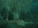 cenote dos ojos bat cave