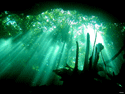cenote chikin-ha